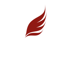 MilMillas